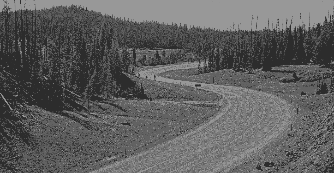 traffic camera footage of a road through a pine forest